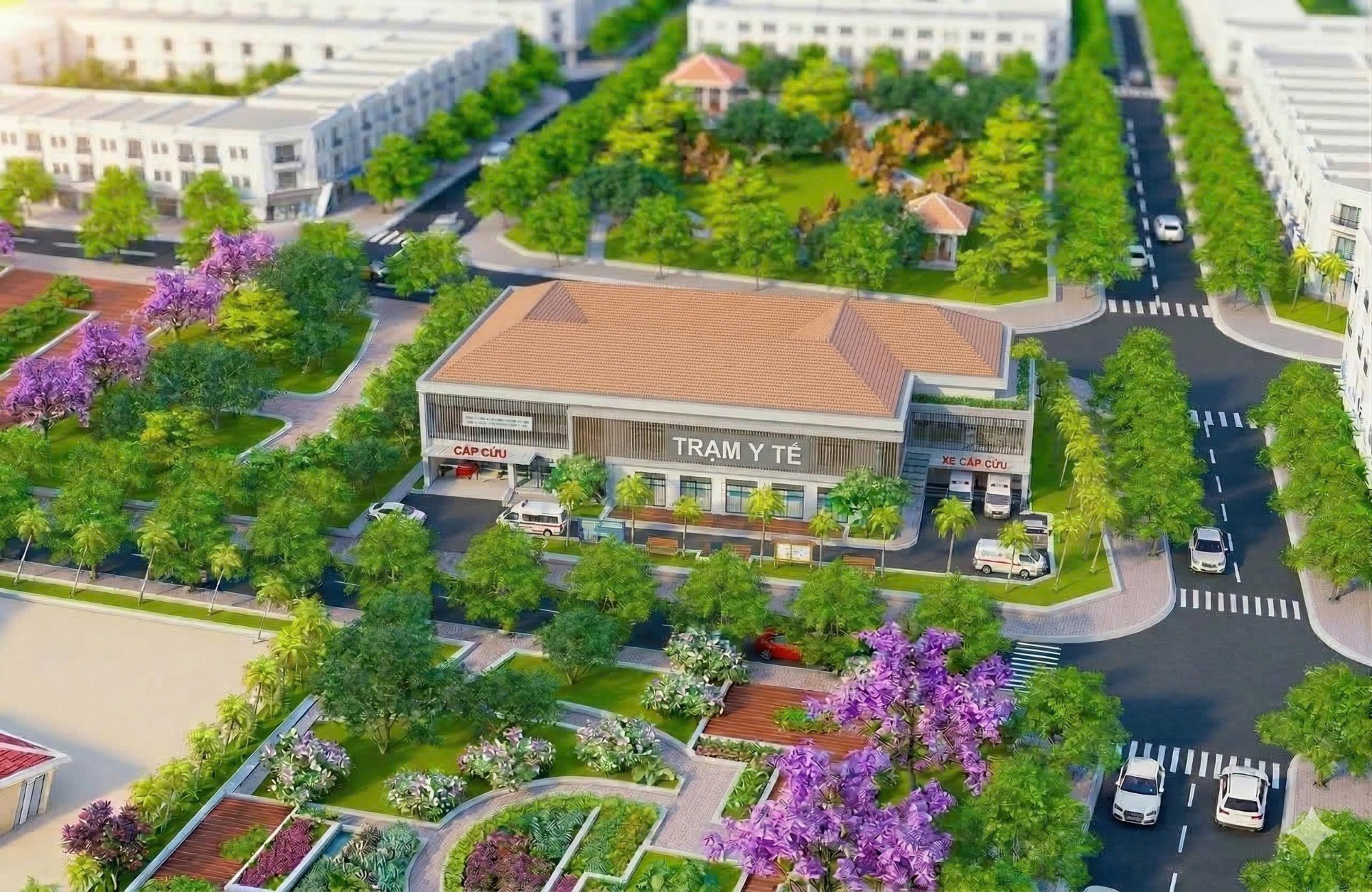 Album hình ảnh - 6