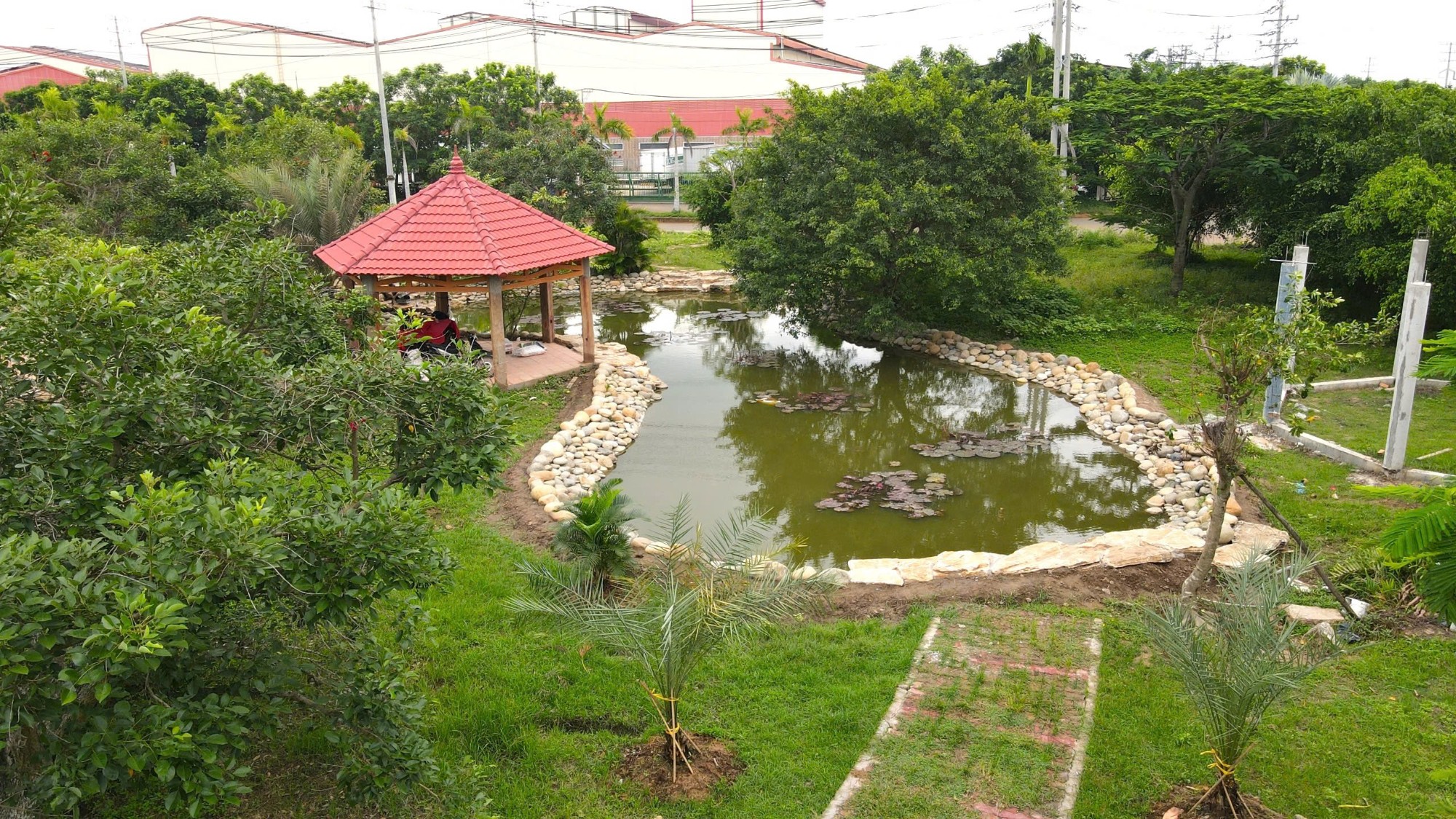 Greenery